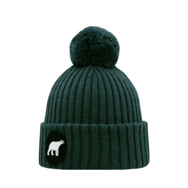 POLAR Junior merino wool beanie dark green